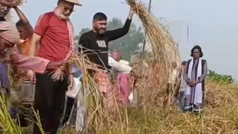ঘিওর উপজেলায় পালিত হলো নবান্ন উৎসব