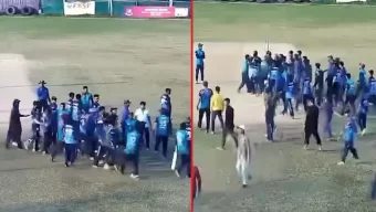 মারামারি কাণ্ডে বিসিবিতে তোলপাড়