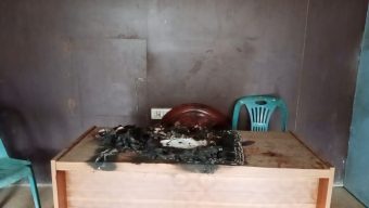 ঘিওরে বিএনপির কার্যালয়ে অগ্নিসংযোগ – ভাঙচুর