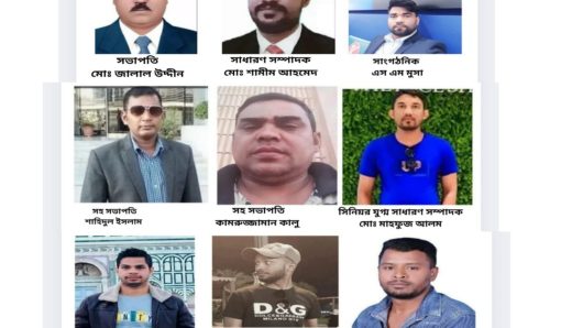 বুড়িচং উপজেলা জাতীয়তাবাদী প্রবাসী ফোরাম এর পূর্নাঙ্গ কমিটি গঠন