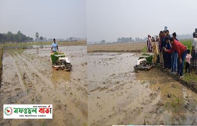 আখাউড়ায় রাইস ট্রান্সপ্লান্টারের মাধ্যমে ধানের চারা রোপণ