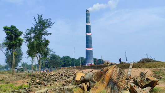 রাজশাহীর মোহনপুরে আ.লীগ নেতার ইটভাটায় পুড়ছে কাঠ, হুমকিতে পরিবেশ