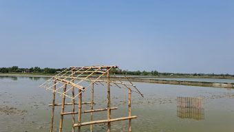 পাইকগাছায় মৎস্য ঘের জবরদখলের চেষ্টা; থানায় অভিযোগ”