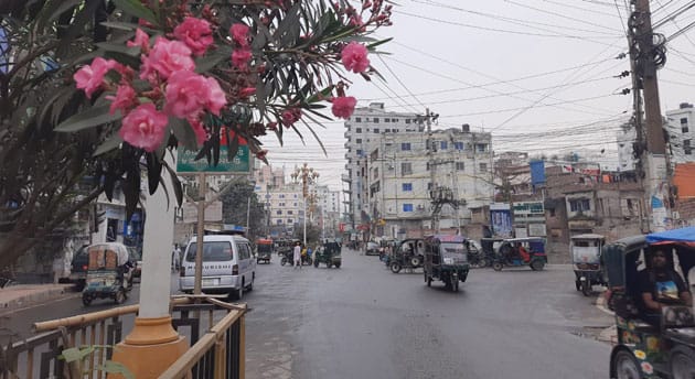 রাজশাহীতে টানা দুই দিন সূর্যের দেখা নেই, বৃষ্টি অব্যাহত