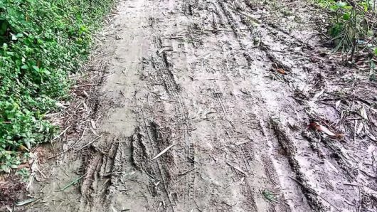 রাস্তার বেহাল দশায় বর্ষাকালে চলাফেরায় চরম দূর্ভোগে প্রায় ২০০ পরিবার-