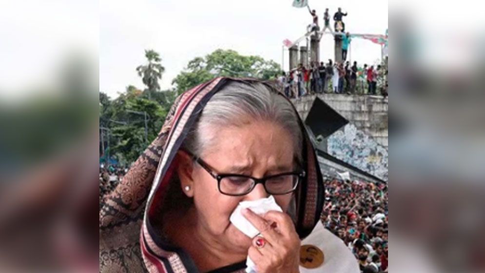হাসিনার ফাঁসি দাবি করলেন বিএনপির ভাইস চেয়ারম্যান