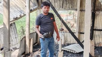ঘিওরে বৈদ্যুতিক শট সার্কিট থেকে আগুন লেগে  মালামালসহ দুটি দোকান পুরে ছাই”