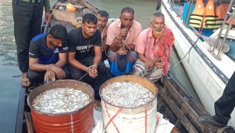 হিজলায় মেঘনার শাখা নদীর থেকে বিপুল পরিমানে জাটকা জব্দ ও আটক – ৫