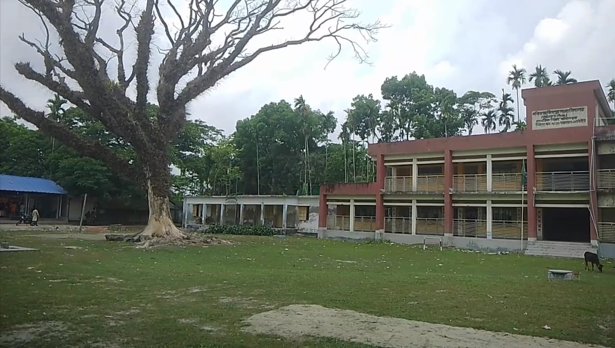 কাজিরহাট থানার পশ্চিম আজিমপুর সরকারি প্রাঃ বিদ্যালয়ে মাঠে রেন্ট্রি গাছটি মরণফাদ” 