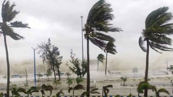 দুপুরের মধ্যে যেসব জেলায় ঝড়বৃষ্টি হতে পারে