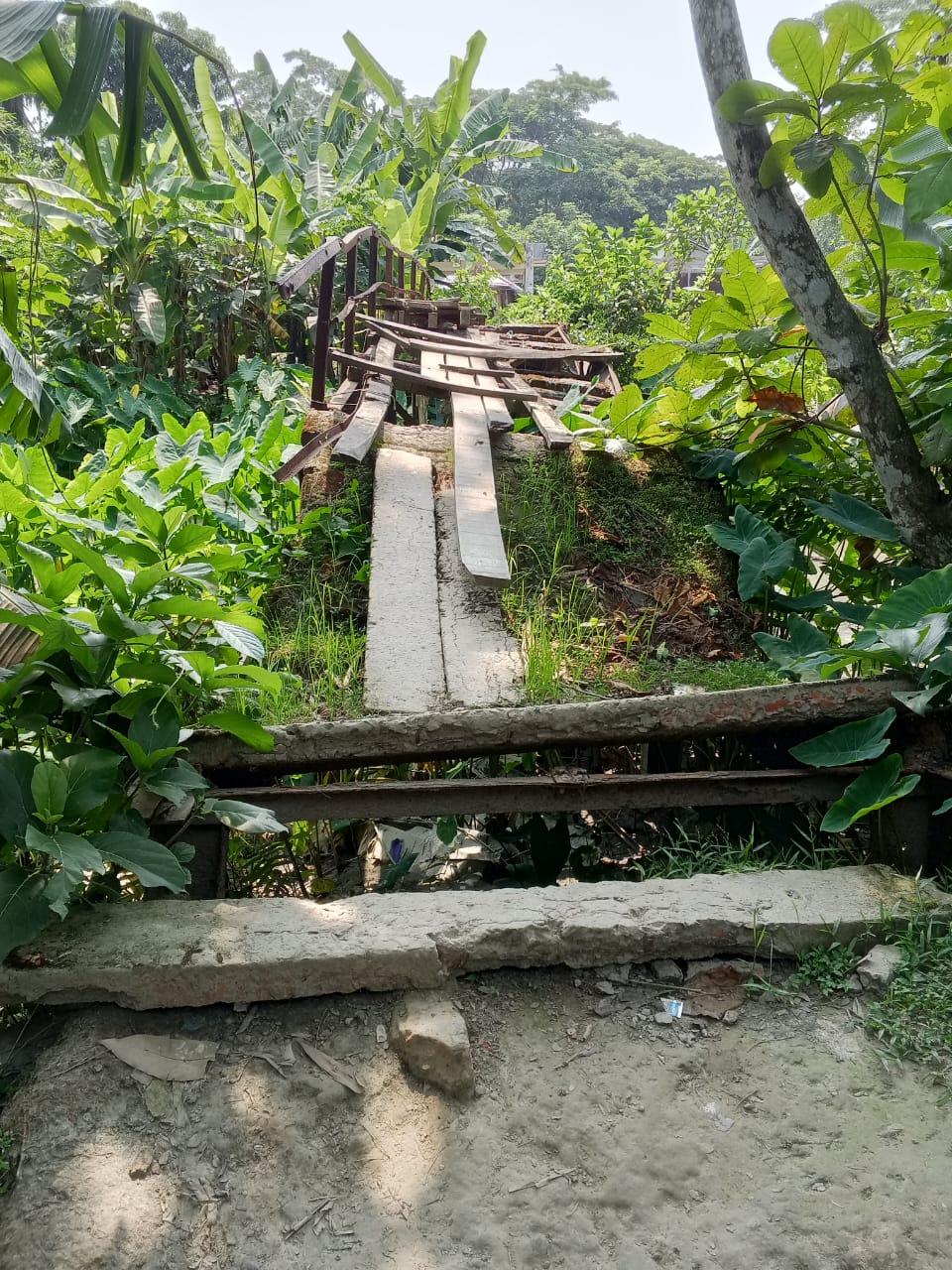 এক যুগের ও বেশি ধরে পারাপার হয় ঝুঁকিপূর্ণ ভাঙ্গা পুল, কোমলমতি শিক্ষার্থী সহ হাজারো মানুষ।