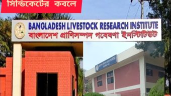 হাফিজুর-হিল্টন-বিমলের ফ্যাসিবাদি সিন্ডিকেট চক্রে বাঁধা বিএলআরআই সহ প্রাণী সম্পদ অধিদপ্তরের বিভিন্ন প্রতিষ্ঠান