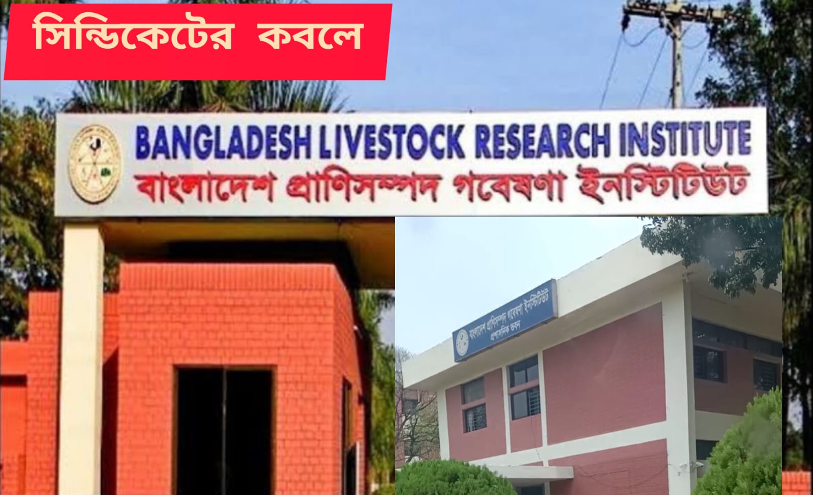 হাফিজুর-হিল্টন-বিমলের ফ্যাসিবাদি সিন্ডিকেট চক্রে বাঁধা বিএলআরআই সহ প্রাণী সম্পদ অধিদপ্তরের বিভিন্ন প্রতিষ্ঠান