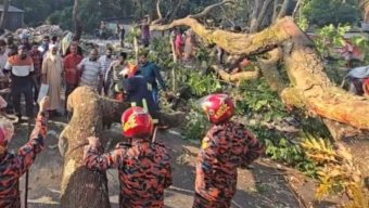 ঢাকা-বরিশাল মহাসড়কে গাছ ফেলে অবরোধ