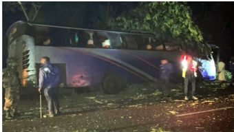 গোপালগঞ্জে গাছ ফেলে মহাসড়ক অবরোধের চেষ্টা