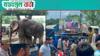 সড়কে হাতি নিয়ে চাঁদাবাজি, হুড়োহুড়িতে গাড়িচাপায় প্রাণ গেল ১০ মাসের শিশুর