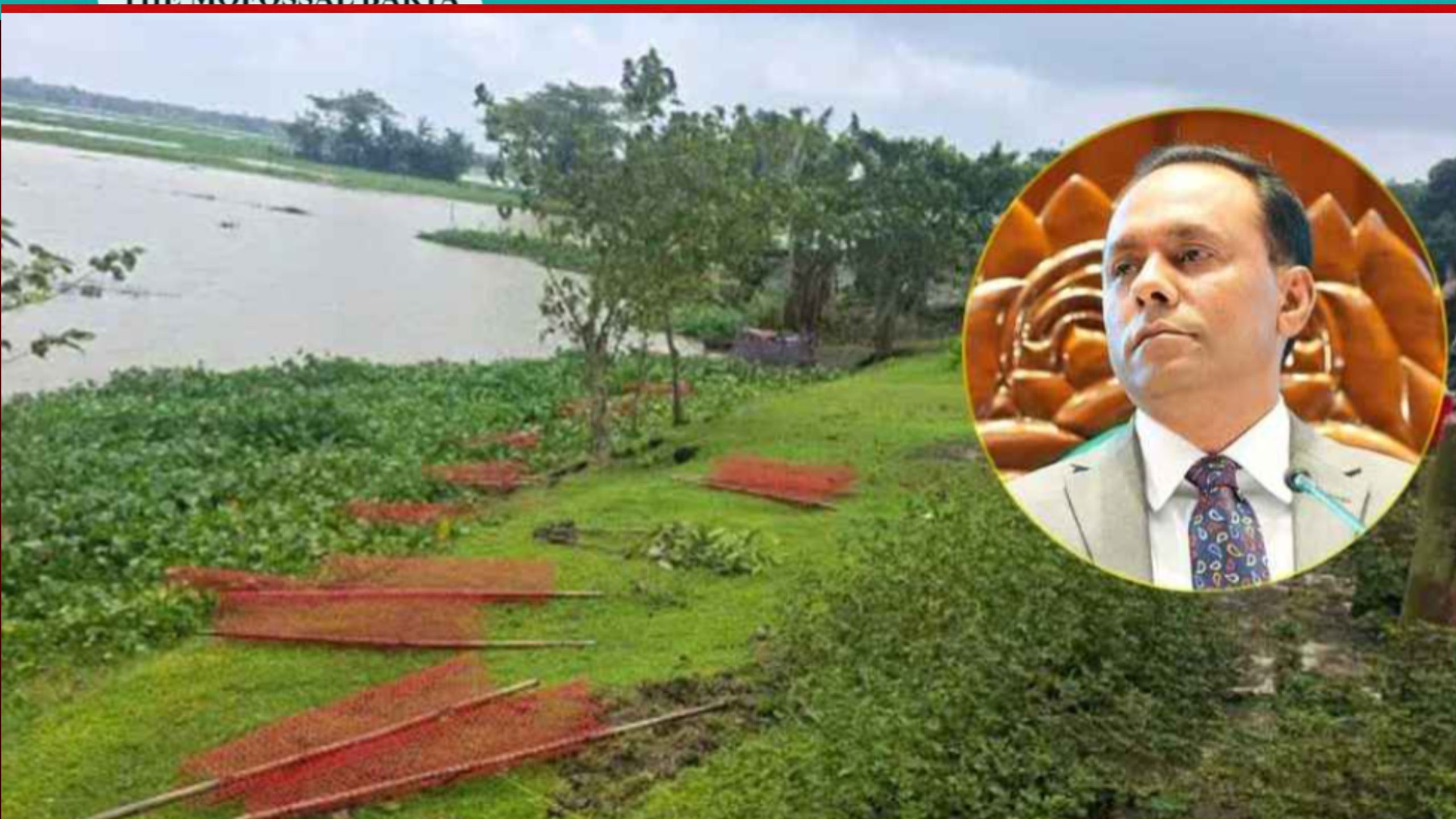 রাতের আঁধারে ডেপুটি স্পিকারের উদ্যোগে লাগানো গাছের চারা ধ্বংস