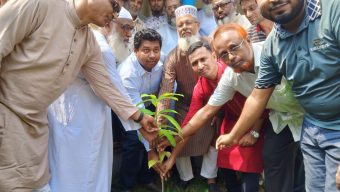 সিংড়ায় বিলদহর উচ্চ বিদ্যালয়ে বৃক্ষরোপণ কর্মসূচি