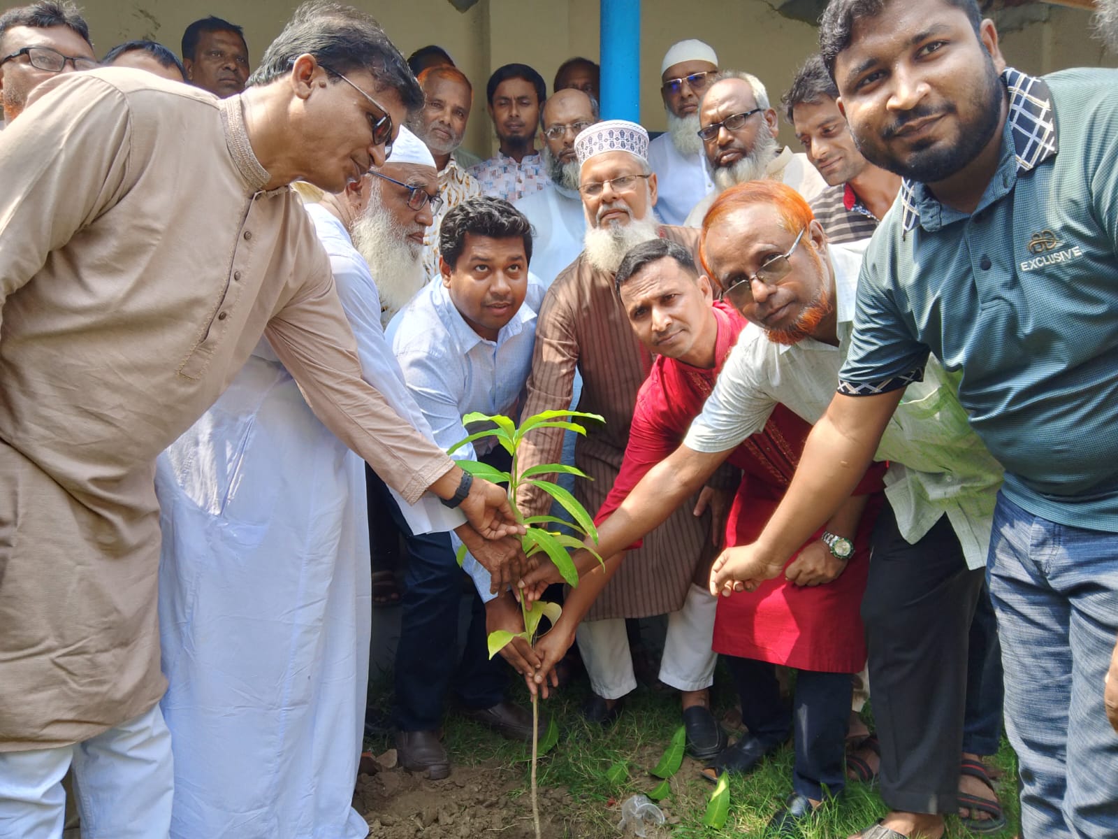 সিংড়ায় বিলদহর উচ্চ বিদ্যালয়ে বৃক্ষরোপণ কর্মসূচি