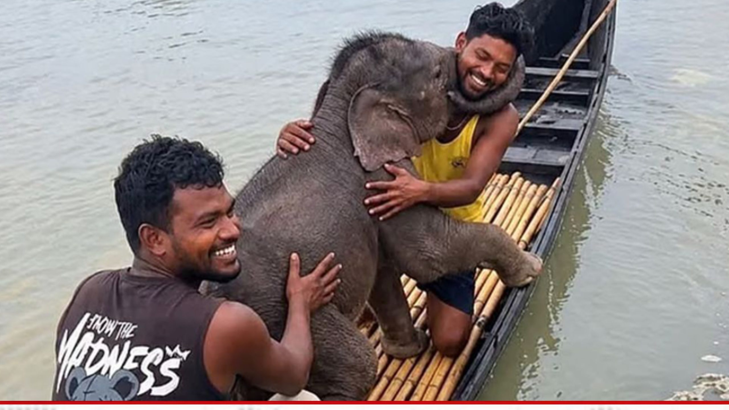 ‎তিস্তা নদীতে ভেসে যাওয়া হাতির শাবককে উদ্ধার, মায়ের কাছে ফিরিয়ে দিলেন জেলেরা