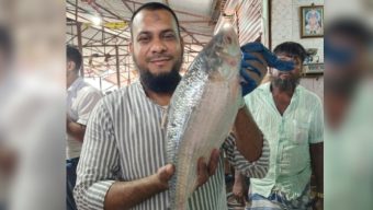 ‎৩ কেজি ৭০০ গ্রাম ওজনের এক ইলিশের দাম ১১ হাজার টাকা