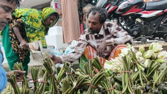 চলনবিলের শাপলা-ঢ্যাপ বিক্রিতে সংসার চলে আব্দুল আলিমের