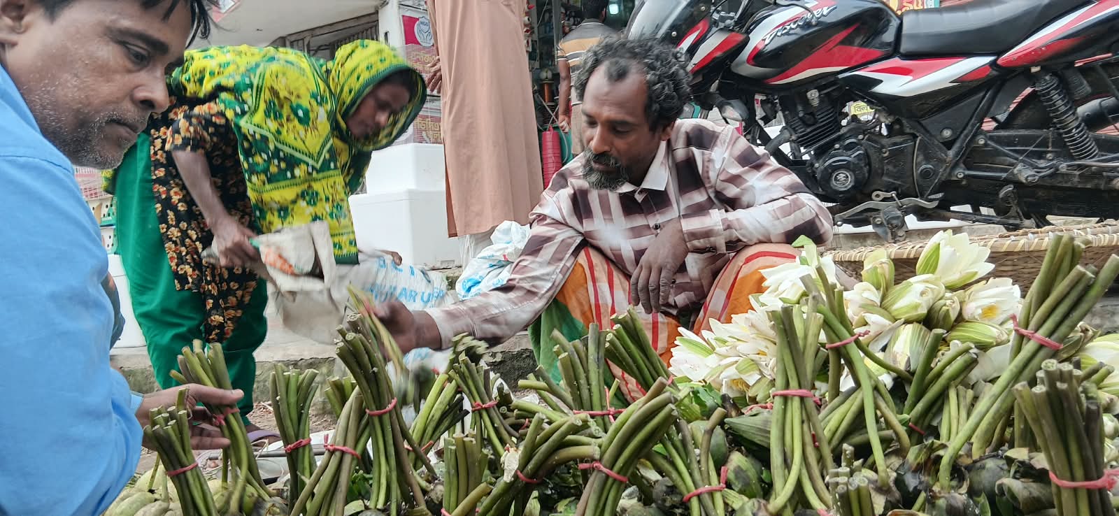 চলনবিলের শাপলা-ঢ্যাপ বিক্রিতে সংসার চলে আব্দুল আলিমের