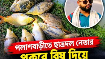পলাশবাড়ীতে ছাত্রদল নেতা সোহেলের পুকুরে বিষ প্রয়োগে তিন লাখ টাকার মাছ নিধন