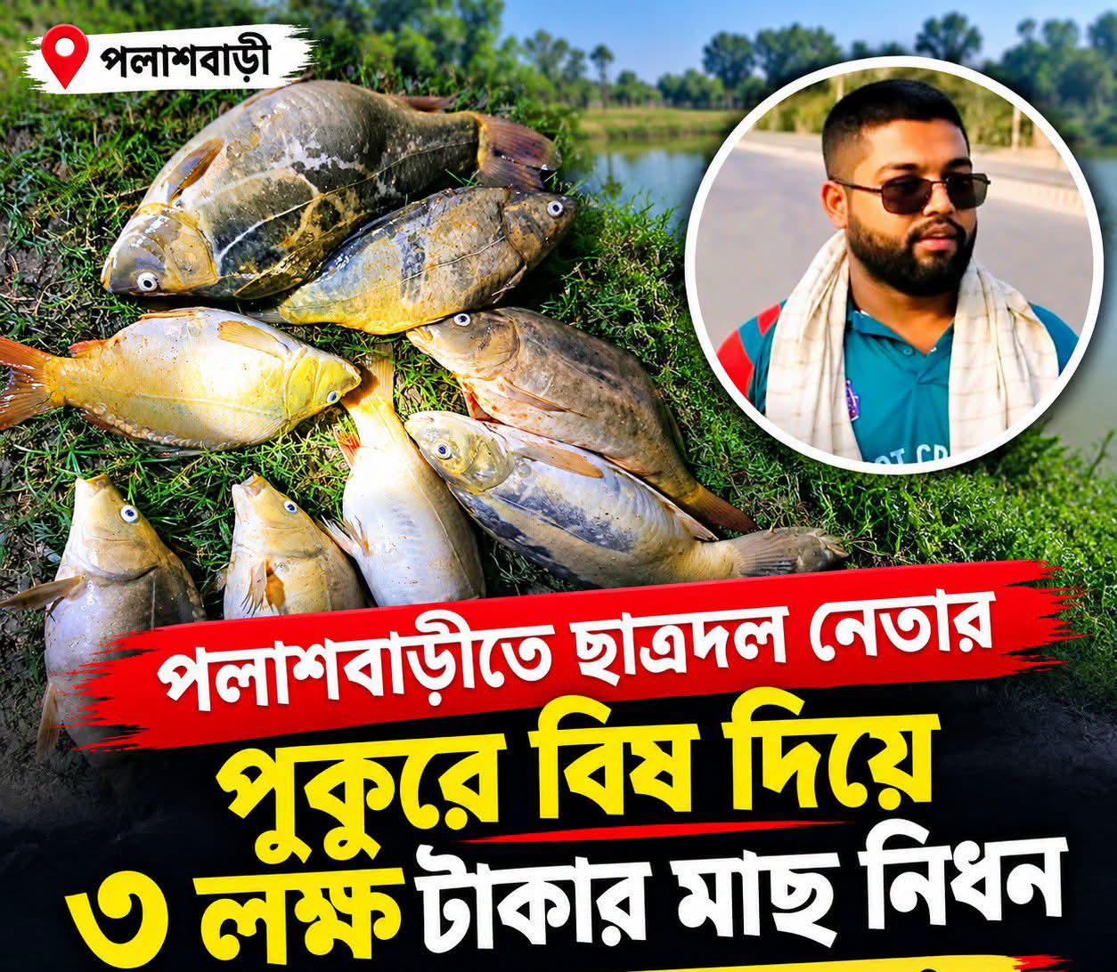 পলাশবাড়ীতে ছাত্রদল নেতা সোহেলের পুকুরে বিষ প্রয়োগে তিন লাখ টাকার মাছ নিধন