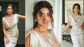 অভিনয়, প্রেম, গোপন বিয়ে আর সাফল্য- সবকিছুতে অনন্য শ্রিয়া সরন